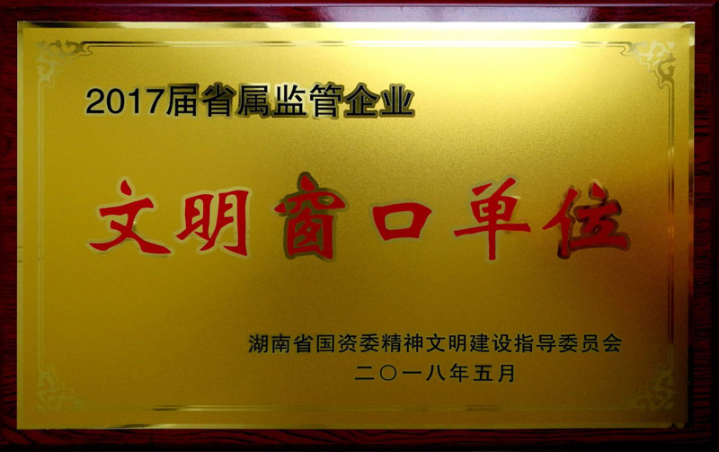 乐鱼（中国）集团养老产业有限公司荣获“省属监管企业文明窗口单位”称号